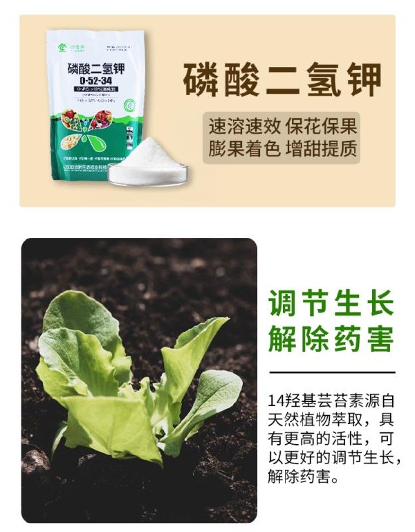 冬季作物如何抗寒防冻？田当家套餐磷酸二氢钾+鱼蛋白+芸苔素，增产防冻不再是难题